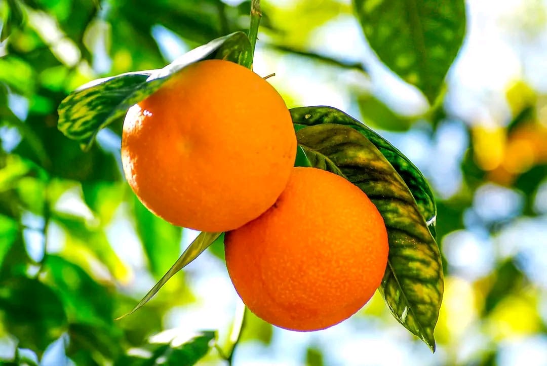 728be6b6-b61f-46b8-aaa7-b426221d1431