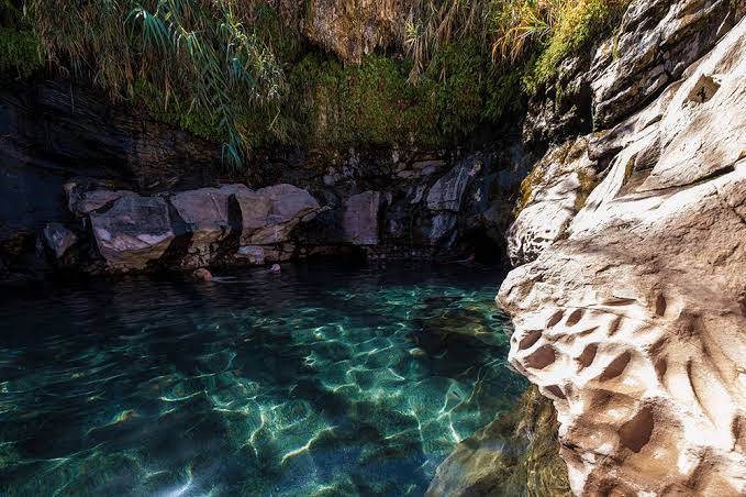 c93bd8f7-418b-4d96-8238-284f5e25f03b